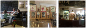 Fly Cuppa