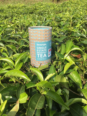Single Estate Breakfast tea | teapigs