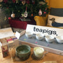teapigs festive digital tea school