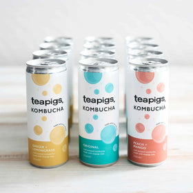 mixed kombucha bundle